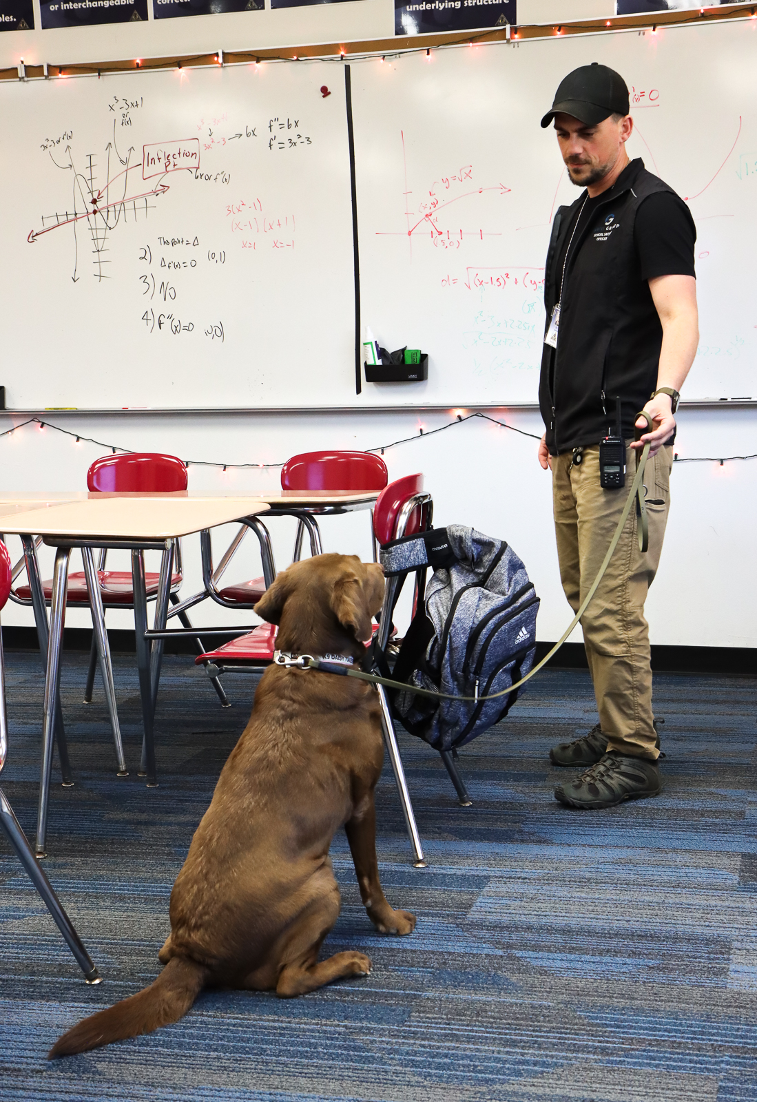 Fortis Group LLC - School Safety & Security Image 1